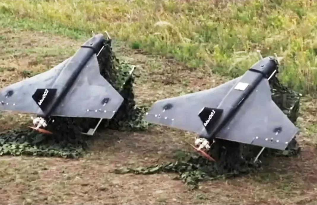 Gerbera Kamikaze Drones